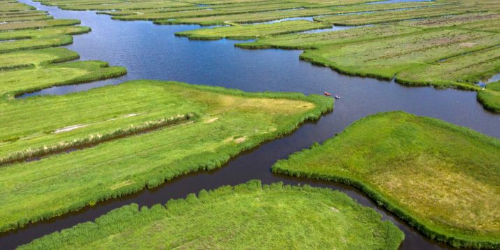ilperveld