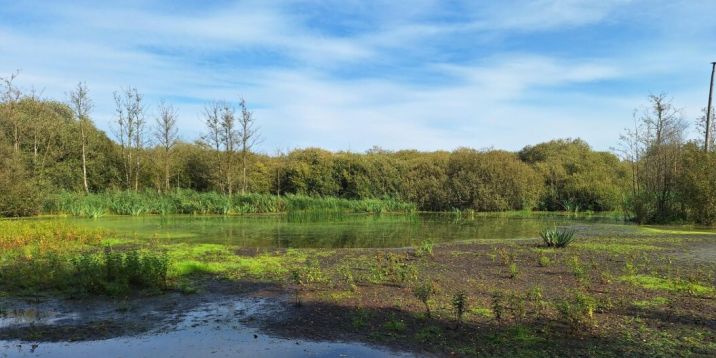 nieuwbericht ulvenhoutse bos