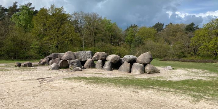 Holtingerveld 6