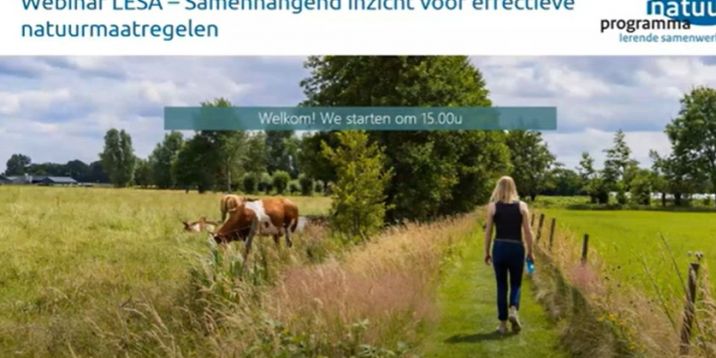 Schermafbeelding 2025-04-04 094612