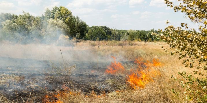 shutterstock_770522431