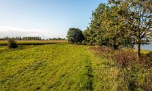 shutterstock_1533623198