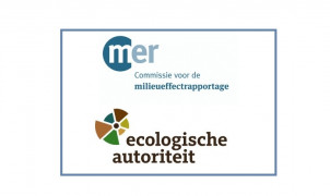 directeur
