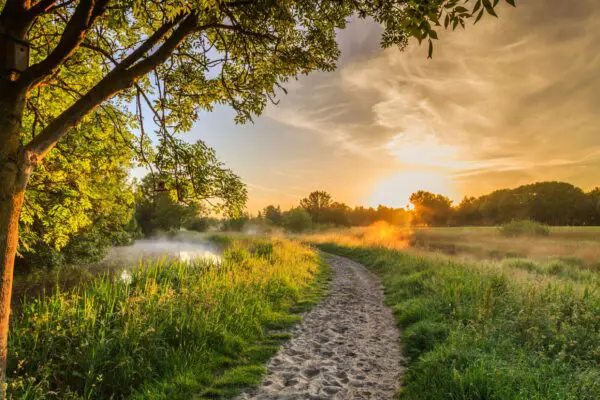 Afbeelding van Ecologische Autoriteit